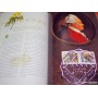 Australia 2001 Deluxe Yearbook Album with all Stamps FV$60.30 Australia 2001 Deluxe Yearbook Album with all Stamps FV$60.30